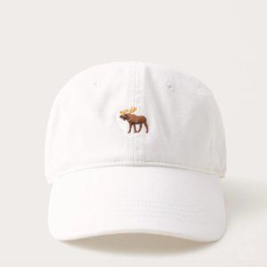 NWT Abercrombie and Fitch Signature Baseball Hat